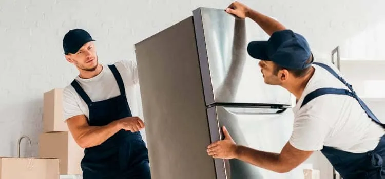 transporte-de-nevera